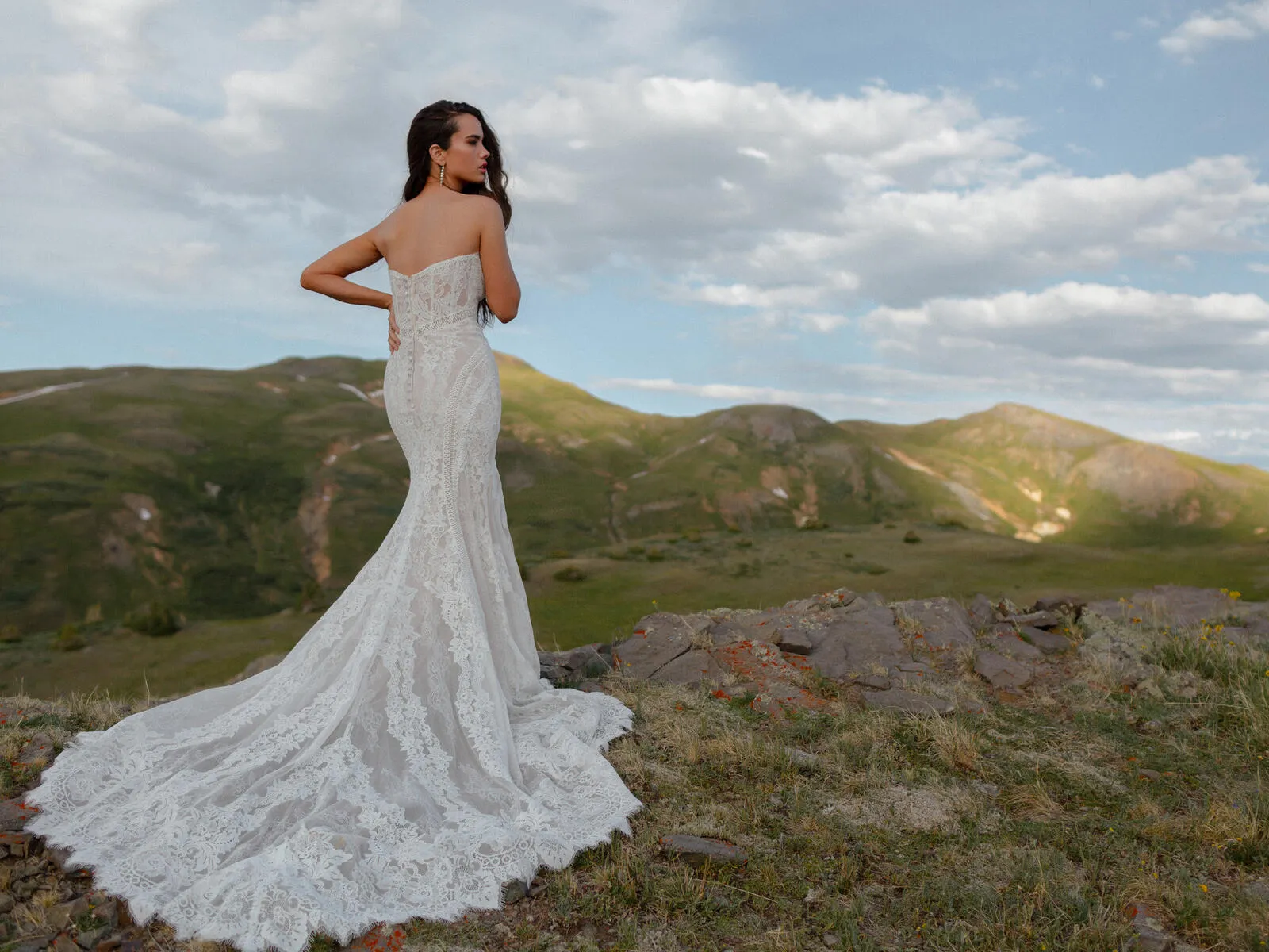 Wilderly Bride by Allure Dress F226